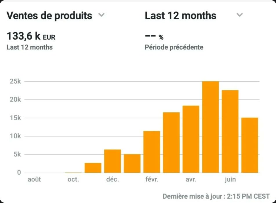 Ventes d'Amir sur 12 mois
